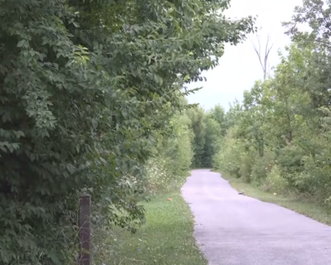 trail